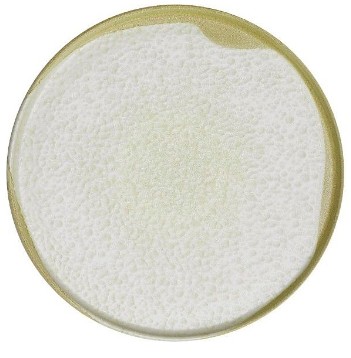 KUTAHYA Sand Wind BNROT20DU890552 Тарелка с плоским дном без полей (d20см, h1,6см)