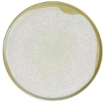 KUTAHYA Sand Wind BNROT20DU890552 Тарелка с плоским дном без полей (d20см, h1,6см)